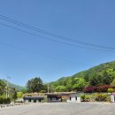 충북 제천 달재오토캠핑장 후기｜계곡 캠핑·사이트 크기·시설 총정리