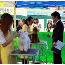 스테이 모량 이미지