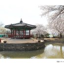 면천군자정 이미지