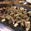 꼼장어네 이미지