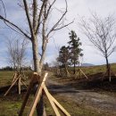 게이트볼장 입구 이미지