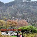 구미정 | 정선 최고의 구미정 계곡 바로 앞에 위치한 하늘나리펜션 후기