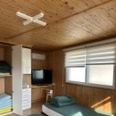 월오포레스트 이미지