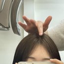 서주헤어
