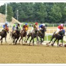 경마장가는길 이미지