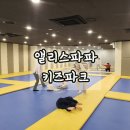 앨리스파파 이미지