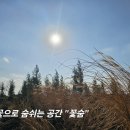 꽃;숨