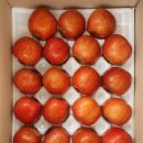 달밭농장 이미지