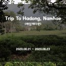 금양주유소 | [하동여행] 하동여행 사진맛집 겸 차도 판매하는 &#39;매암제다원&#39;_사진찍으실 분들은 추천, 조용한 분위기...