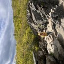 Humpback Rocks, Blue Ridge, VA (05/14/26) 이미지