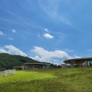 다정목장 이미지