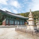 송백운 | <장흥 이야기> ① 천년고찰 보림사