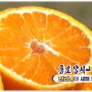 호근농장 이미지