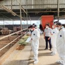 한우번식축산 이미지