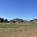 안드레아목장 이미지