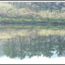 그림이있는 풍경 이미지