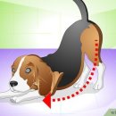 하트동물의료센터 이미지