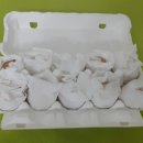 석원농장 이미지