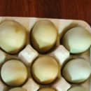 정숙 농장 이미지