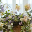 뽀드득 블랑스파 이미지