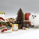 하온동물의료센터 이미지