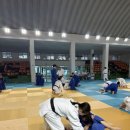 백곰 유도클럽 이미지