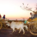 개울건너 이미지