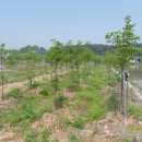 힘차게농장 이미지