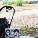 범과같이 | 제주 서귀포 카페범 | 애견동반 카페, 파니니 감귤마들렌 후기