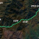 내일 행정사 사무소 이미지