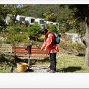 스마트폰으로 세상과 소통하기 이미지