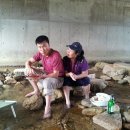 용하농장 이미지