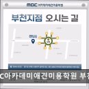장원교육부천원미지점 | 애견미용, 추천!) MBC아카데미애견미용학원 부천지점 부천 MBC아카데미애견미용학원, 실무 중심 교육