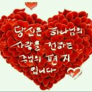 모아칼라