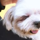 루앤오 이미지