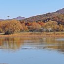 두물머리 이미지