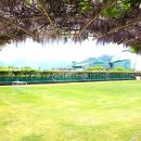 등나무운동장 이미지