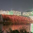 울산역사 다시보기 | 2024 울산공업축제 태화강 낙화놀이 드론쇼 방문 후기