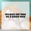 가이드치과의원 | 아, 치과 가기 싫은 사람 나야 나! 이엘치과의원 솔직 후기