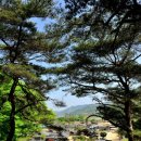 나그네쉼터 이미지