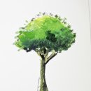 풍경을 담다, 어반스케치 이미지