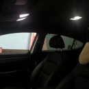 엔젤카센타 이미지