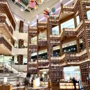 우백탄 스타필드수원점 | 수원스타필드카페 1등, 포컬포인트 FOCAL POINT x 삼진어묵 콜라보