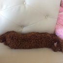 첨단나래약국 이미지