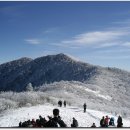 우정빌딩 앞 이미지