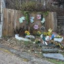 펫마트 홍성점 | [양평/애견동반숙소] 엘프개님스 1박 2일 후기 - 내돈내산, 독채, 강추, 3인 4견