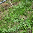 하날농장 이미지