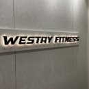 위스테이피트니스 개롱역점 | 위스테이피트니스 개롱역점 개롱역헬스장 방문기