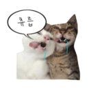 이가의안클린 네이버블로그