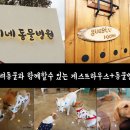 마리네집 민박 이미지